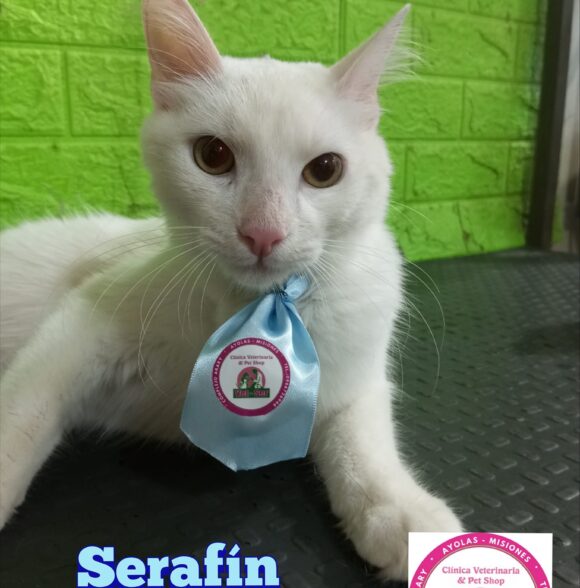 Veterinaria Vet-Ser